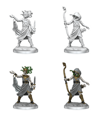 DND FRAMEWORKS: WV2 MEDUSA